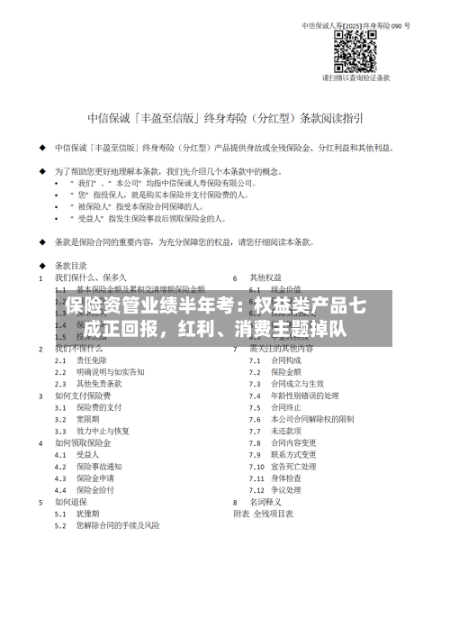 保险资管业绩半年考：权益类产品七成正回报	，红利、消费主题掉队-第2张图片