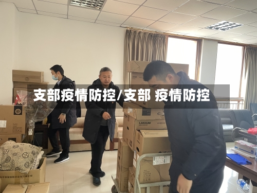 支部疫情防控/支部 疫情防控-第3张图片