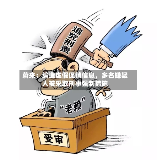 蔚来：编造虚假促销信息，多名嫌疑人被采取刑事强制措施-第2张图片