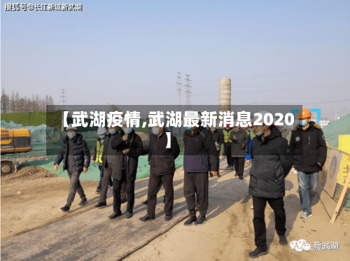 【武湖疫情,武湖最新消息2020】-第2张图片