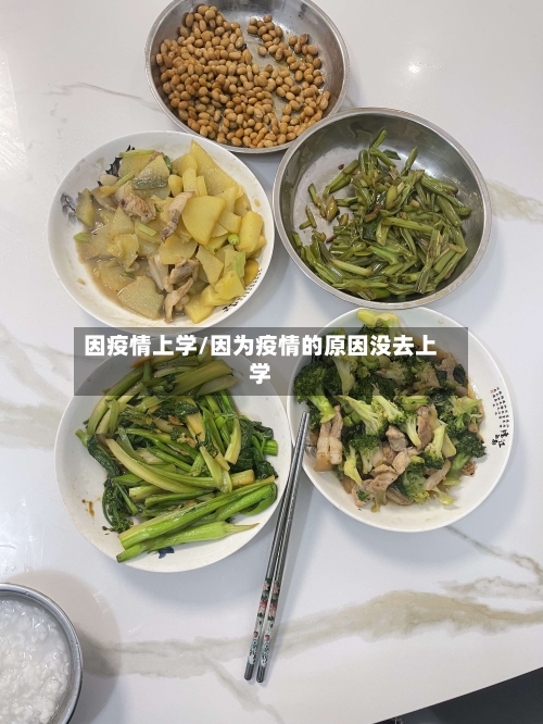 因疫情上学/因为疫情的原因没去上学-第2张图片
