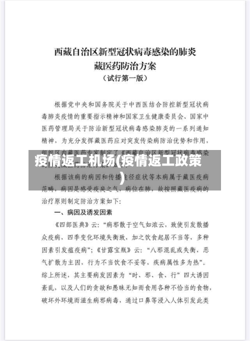 疫情返工机场(疫情返工政策)