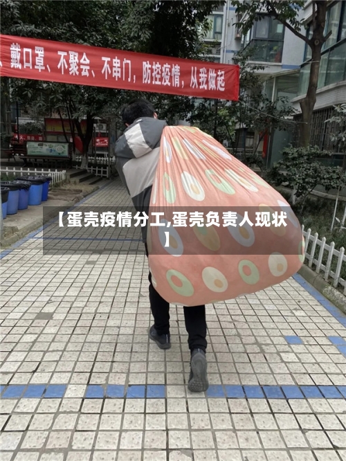 【蛋壳疫情分工,蛋壳负责人现状】