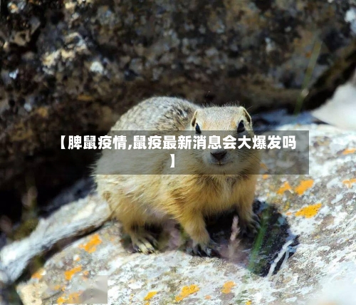 【脾鼠疫情,鼠疫最新消息会大爆发吗】-第2张图片