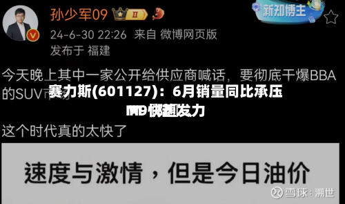 赛力斯(601127)：6月销量同比承压 M〖陆〗	、M9快速发力-第2张图片
