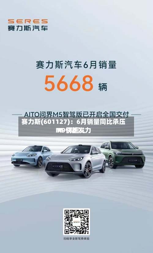 赛力斯(601127)：6月销量同比承压 M〖陆〗、M9快速发力-第3张图片
