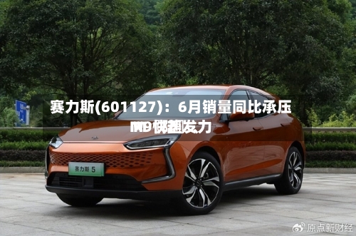 赛力斯(601127)：6月销量同比承压 M〖陆〗、M9快速发力-第3张图片