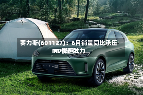 赛力斯(601127)：6月销量同比承压 M〖陆〗、M9快速发力