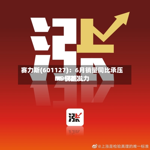 赛力斯(601127)：6月销量同比承压 M〖陆〗	、M9快速发力-第2张图片