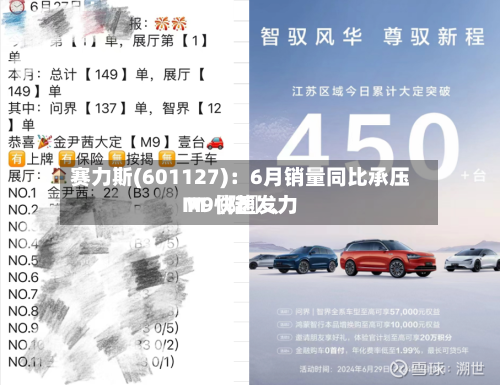 赛力斯(601127)：6月销量同比承压 M〖陆〗、M9快速发力-第3张图片