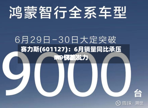 赛力斯(601127)：6月销量同比承压 M〖陆〗、M9快速发力-第3张图片
