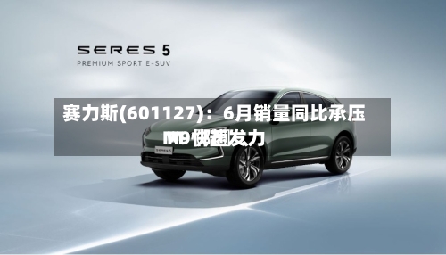 赛力斯(601127)：6月销量同比承压 M〖陆〗、M9快速发力-第3张图片