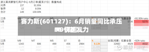 赛力斯(601127)：6月销量同比承压 M〖陆〗	、M9快速发力-第2张图片