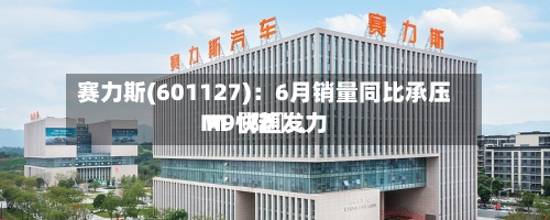 赛力斯(601127)：6月销量同比承压 M〖陆〗	、M9快速发力-第2张图片