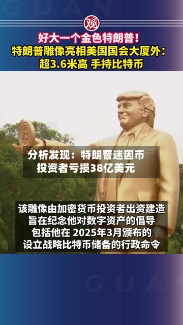 分析发现：特朗普迷因币投资者亏损38亿美元-第3张图片