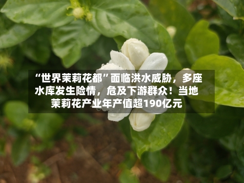 “世界茉莉花都”面临洪水威胁，多座水库发生险情，危及下游群众！当地茉莉花产业年产值超190亿元