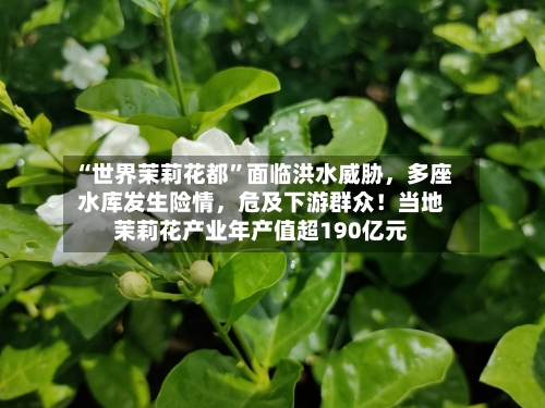 “世界茉莉花都”面临洪水威胁，多座水库发生险情，危及下游群众！当地茉莉花产业年产值超190亿元-第2张图片