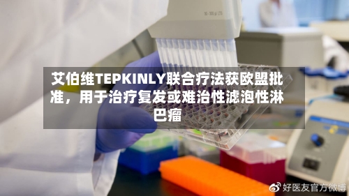 艾伯维TEPKINLY联合疗法获欧盟批准，用于治疗复发或难治性滤泡性淋巴瘤