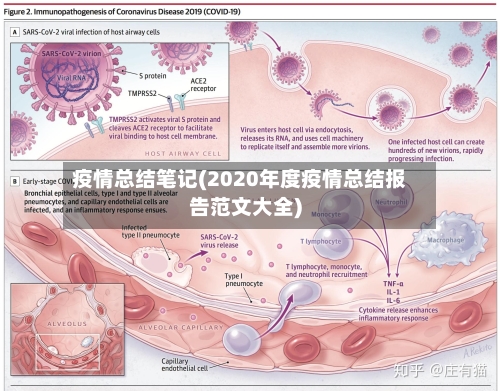 疫情总结笔记(2020年度疫情总结报告范文大全)