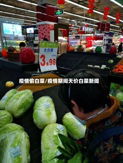 疫情偷白菜/疫情期间天价白菜新闻-第3张图片
