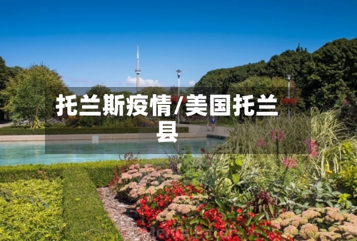托兰斯疫情/美国托兰县
