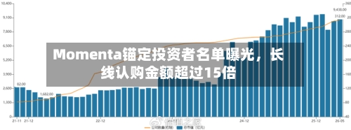 Momenta锚定投资者名单曝光，长线认购金额超过15倍-第2张图片