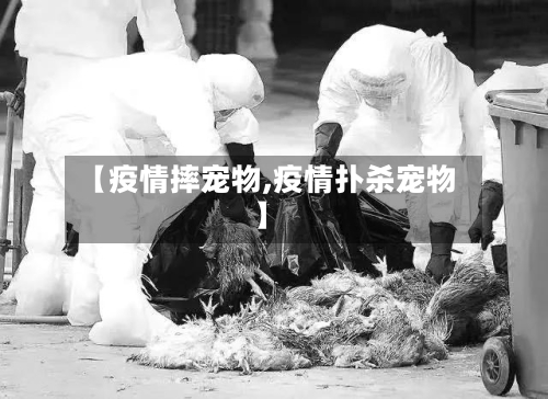 【疫情摔宠物,疫情扑杀宠物】-第2张图片