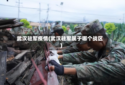 武汉驻军疫情(武汉驻军属于哪个战区)