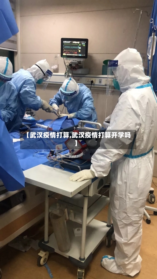 【武汉疫情打算,武汉疫情打算开学吗】-第2张图片