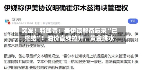 突发！特朗普：美伊谅解备忘录“已终结	”！油价直线拉升，黄金跳水-第3张图片