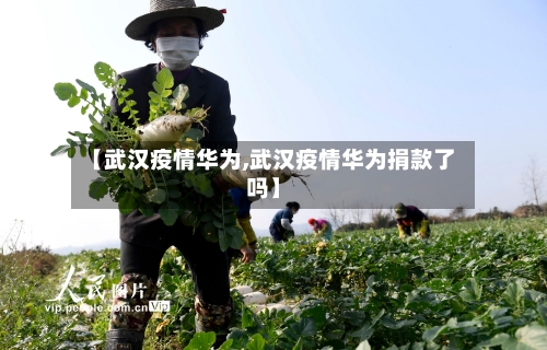 【武汉疫情华为,武汉疫情华为捐款了吗】