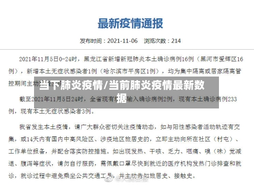 当下肺炎疫情/当前肺炎疫情最新数据