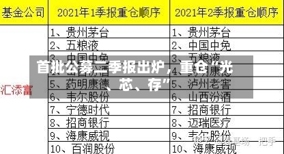 首批公募二季报出炉，重仓“光、芯	、存”-第2张图片