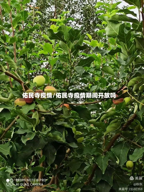 佑民寺疫情/佑民寺疫情期间开放吗