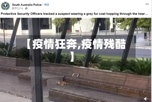 【疫情狂奔,疫情残酷】-第2张图片