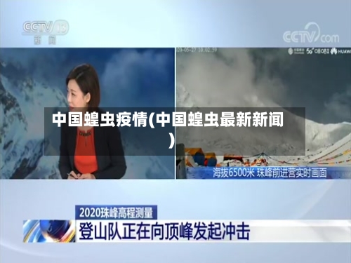 中国蝗虫疫情(中国蝗虫最新新闻)