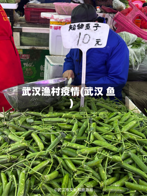武汉渔村疫情(武汉 鱼)