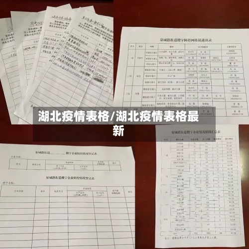 湖北疫情表格/湖北疫情表格最新