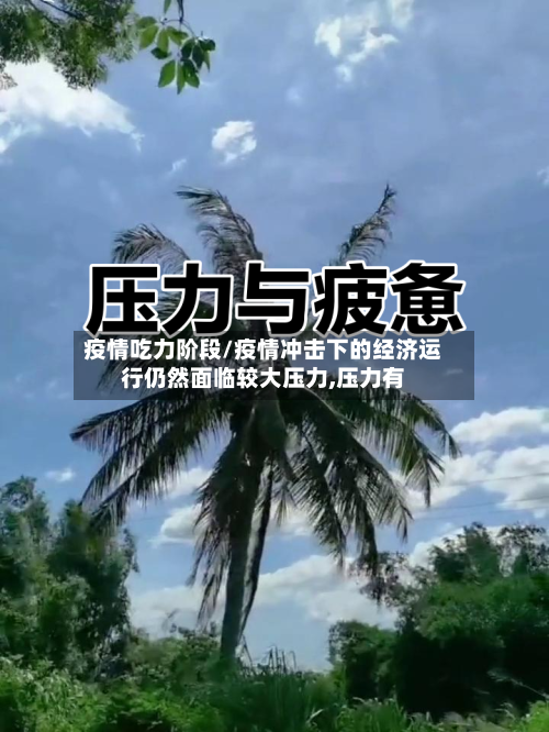 疫情吃力阶段/疫情冲击下的经济运行仍然面临较大压力,压力有