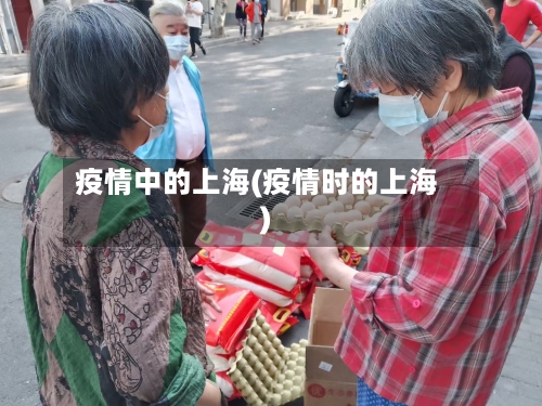 疫情中的上海(疫情时的上海)-第2张图片