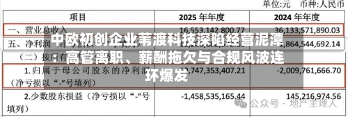 中欧初创企业苇渡科技深陷经营泥潭：高管离职、薪酬拖欠与合规风波连环爆发-第3张图片