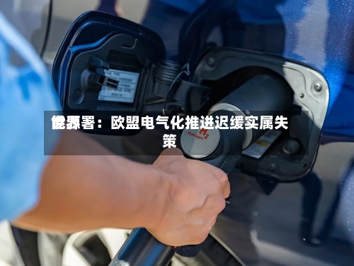 世界能源署：欧盟电气化推进迟缓实属失策-第2张图片