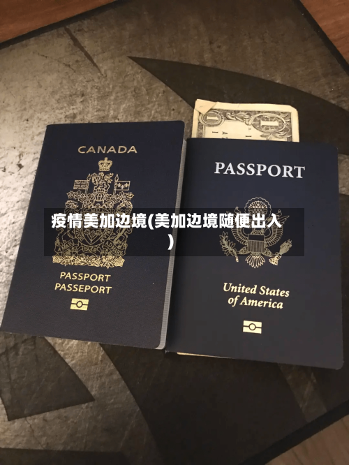 疫情美加边境(美加边境随便出入)-第3张图片