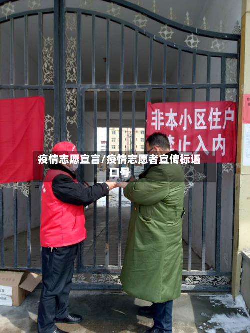 疫情志愿宣言/疫情志愿者宣传标语口号