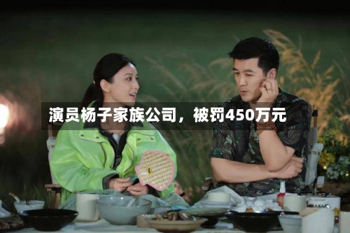 演员杨子家族公司，被罚450万元-第3张图片