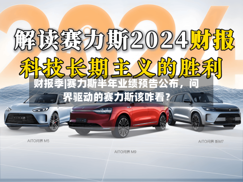 财报季|赛力斯半年业绩预告公布，问界驱动的赛力斯该咋看？-第3张图片