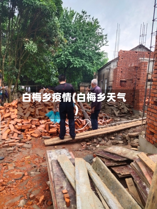 白梅乡疫情(白梅乡天气)-第3张图片