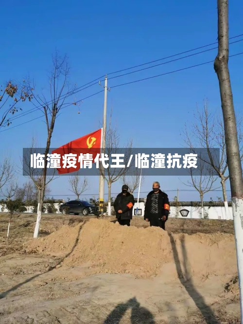 临潼疫情代王/临潼抗疫-第3张图片