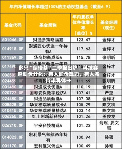 多只“翻倍基”二季报出炉！科技赛道调仓分化：有人加仓算力、有人减持半导体→-第2张图片