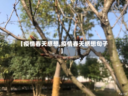 【疫情春天感想,疫情春天感想句子】-第3张图片